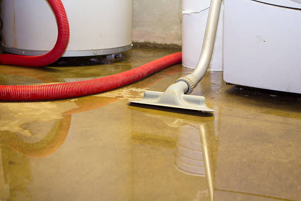 Trusted Water Damage Restoration in Cupertino, CA | Fast, Reliable, and Ready to Assist You